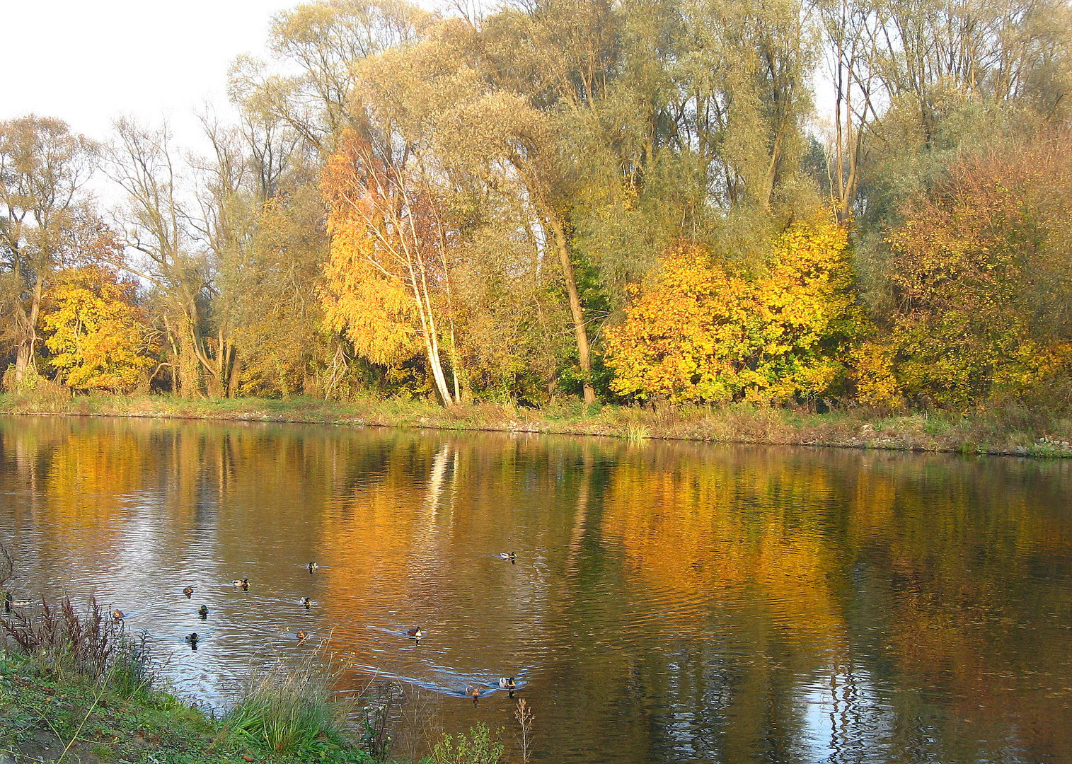 Herbst am Kanal