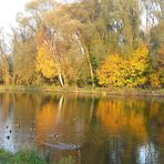 Herbst am Kanal