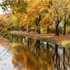 Herbst am Kanal