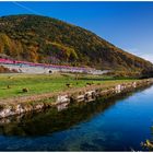 Herbst am Kanal IV