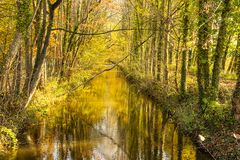 Herbst am Kanal__MG_0277