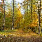 Herbst am Kanal_MG_0278