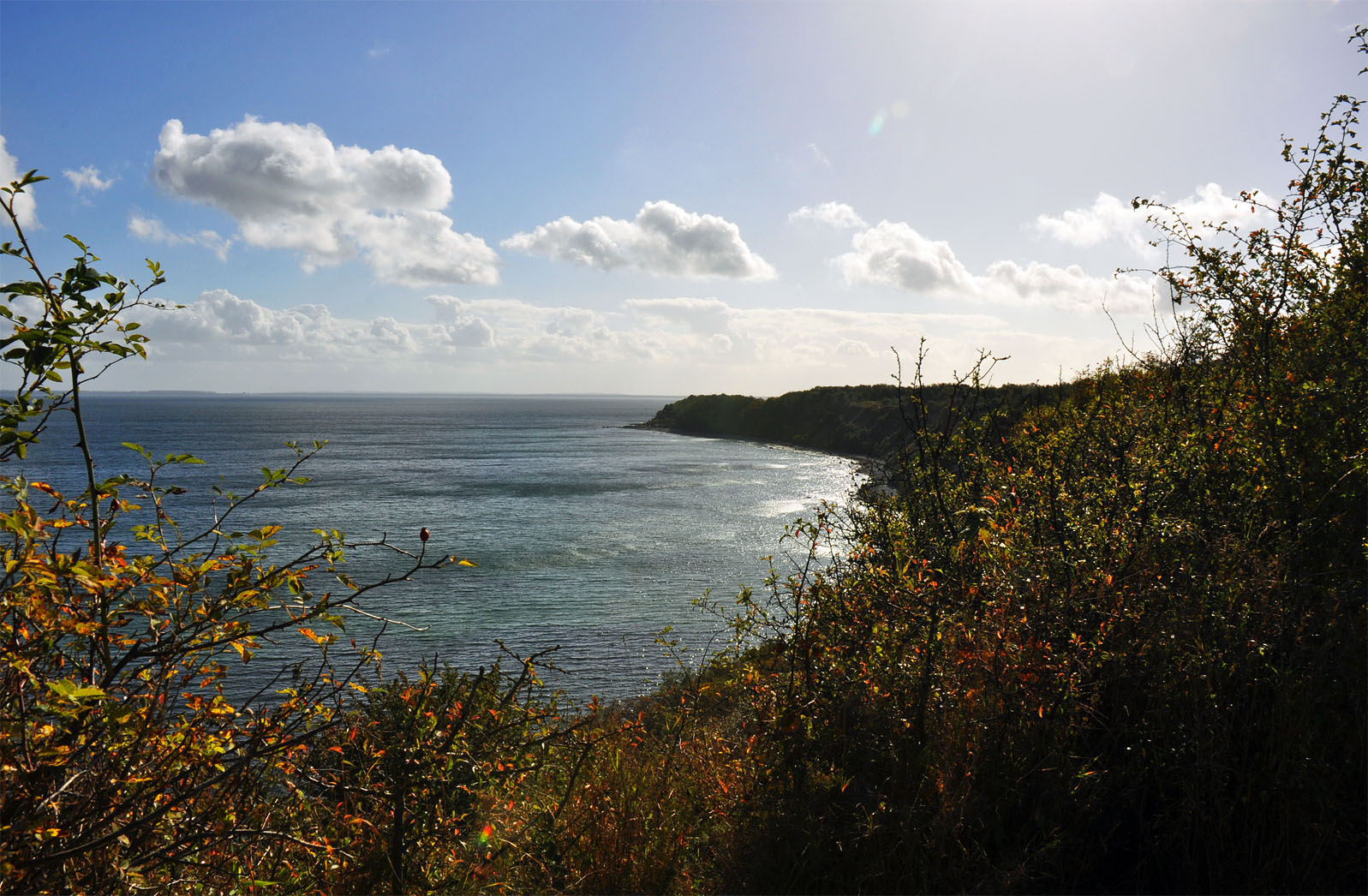 Herbst am Kap