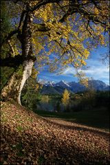 ~ Herbst am Karwendel ~