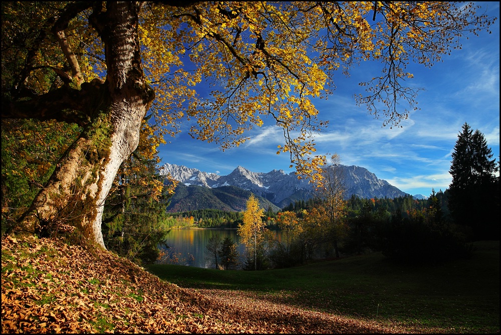 ~ Herbst am Karwendel [quer] ~