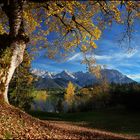 ~ Herbst am Karwendel [quer] ~