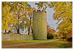 herbst am kattenturm