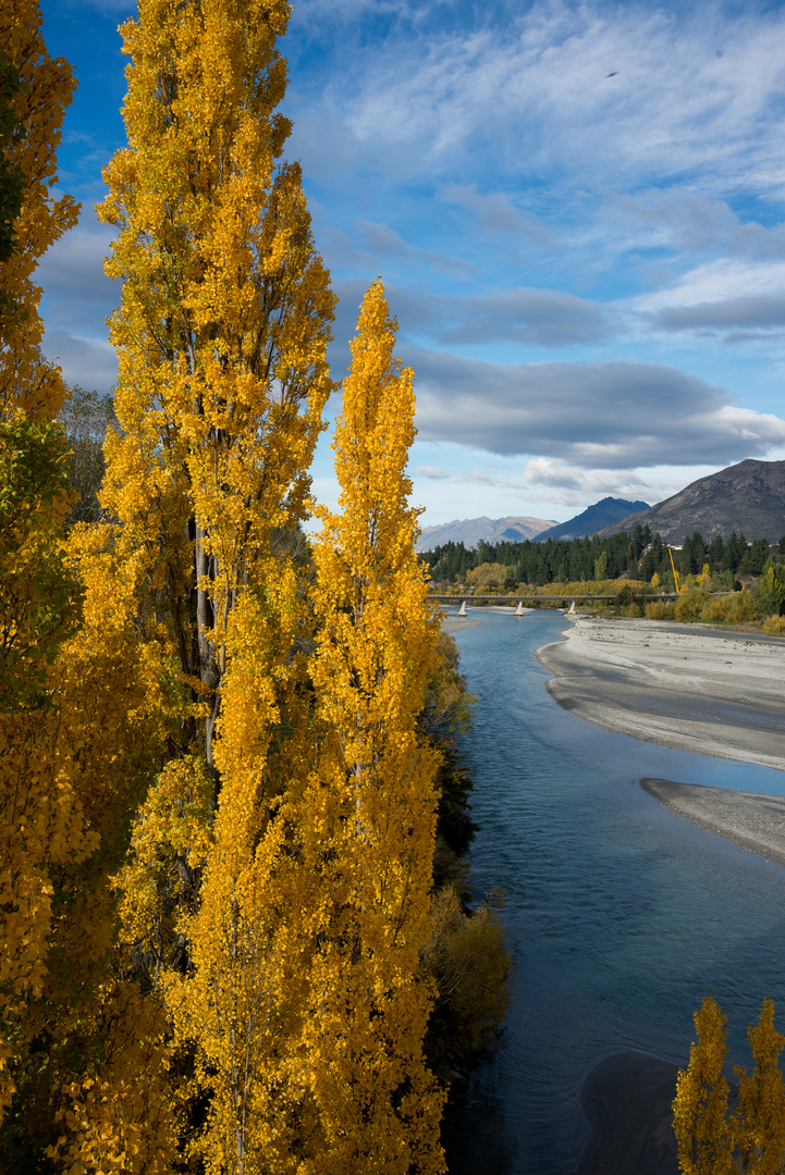 Herbst am Kawarau River