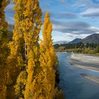 Herbst am Kawarau River