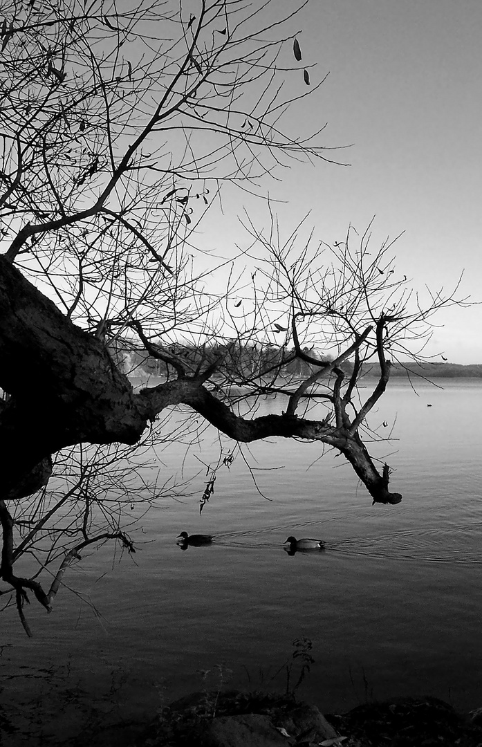 Herbst am Kellersee