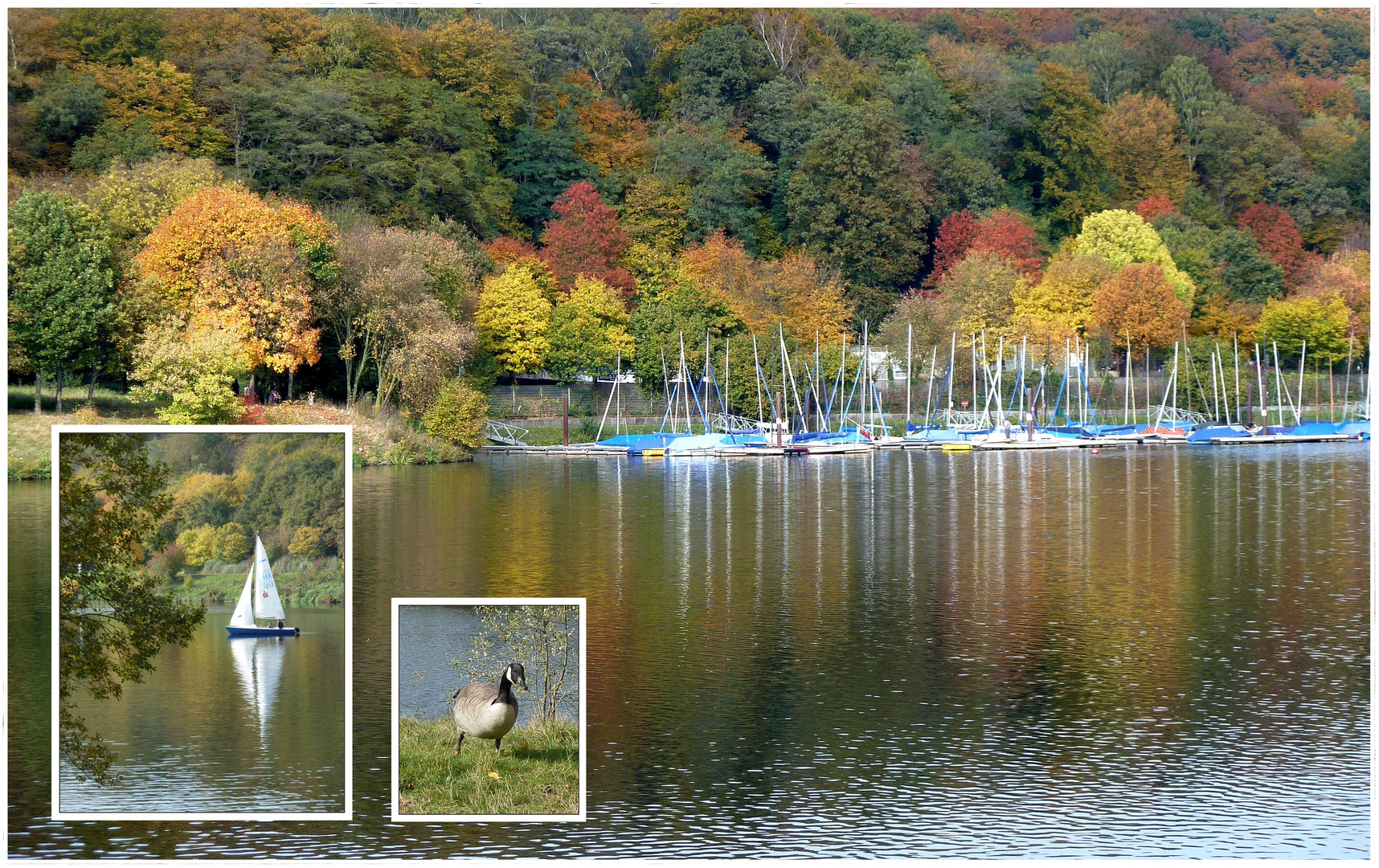 Herbst am Kemnader See