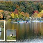 Herbst am Kemnader See