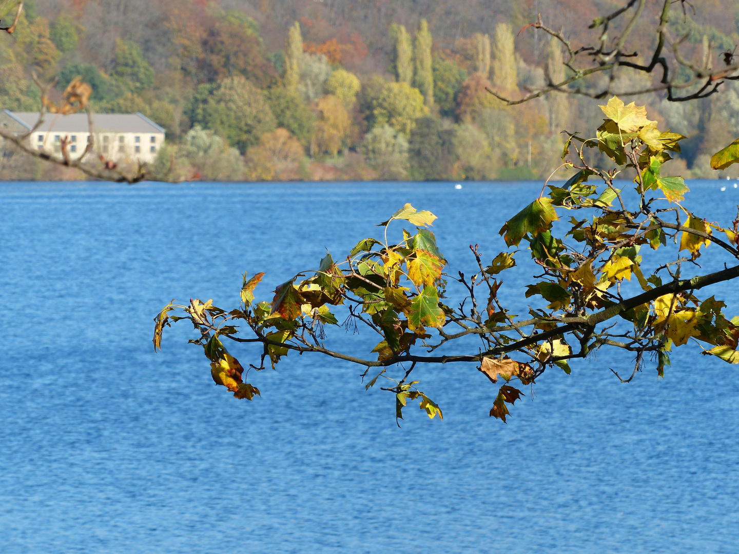 Herbst am Kemnader See