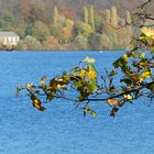 Herbst am Kemnader See