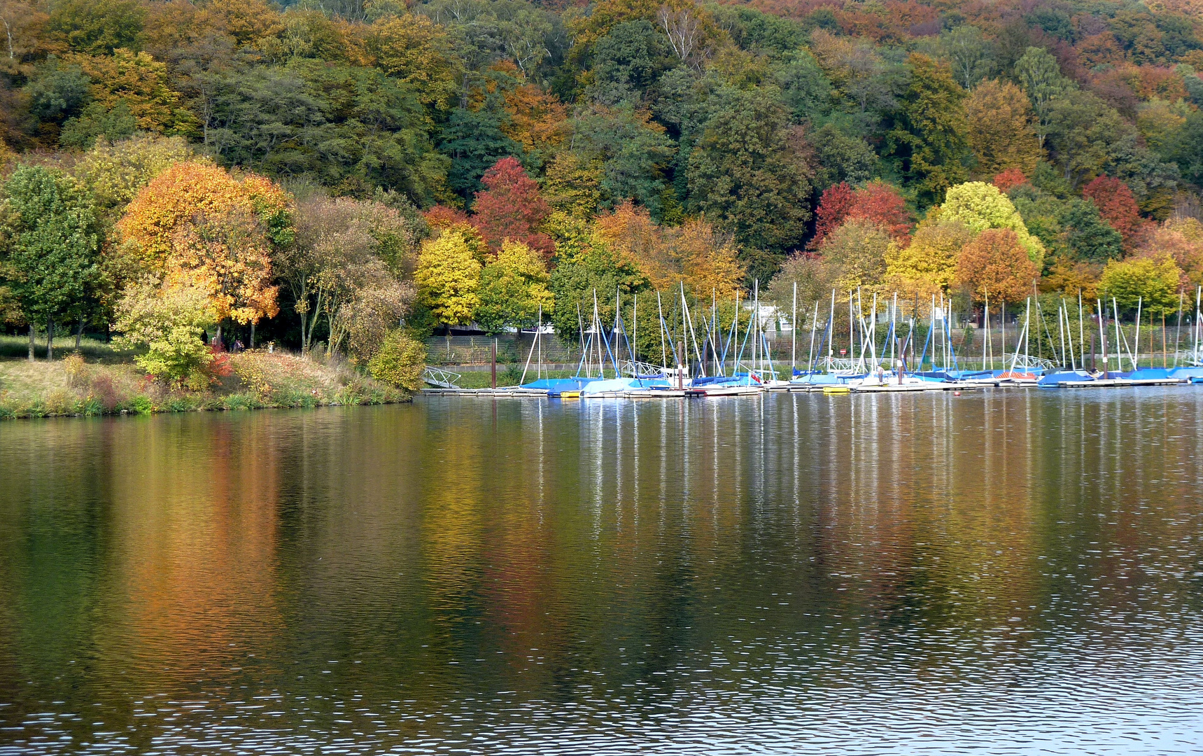 Herbst am Kemnader See