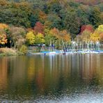 Herbst am Kemnader See