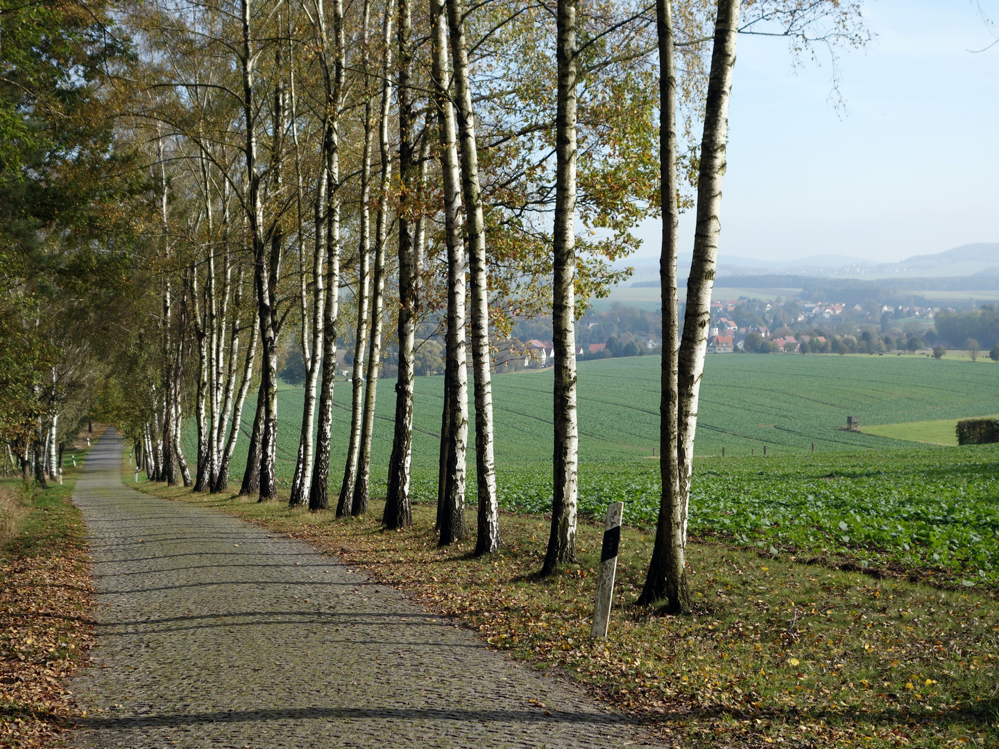 Herbst am Keulenberg bei Pulsnitz