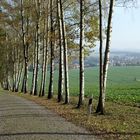 Herbst am Keulenberg bei Pulsnitz