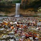 Herbst am Kienbach