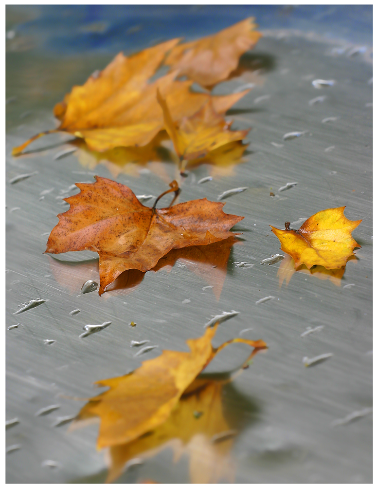 Herbst am Kinderspielplatz