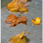 Herbst am Kinderspielplatz