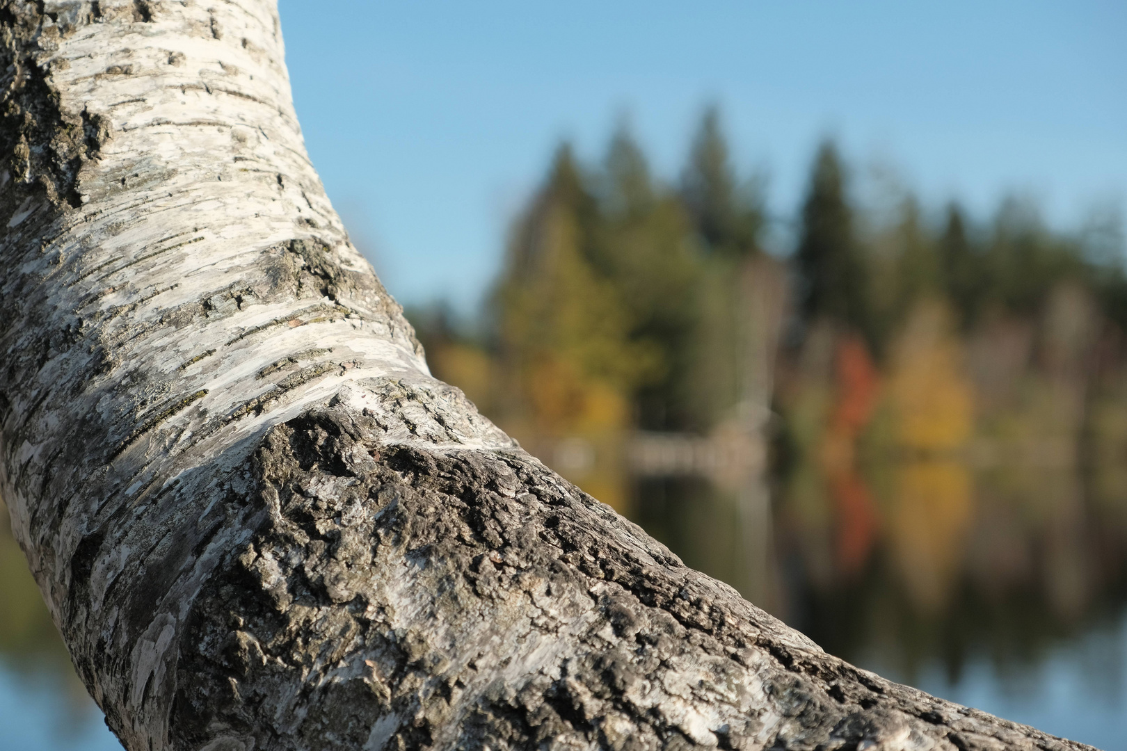 Herbst am Kirchsee - Autumn at Lake Church