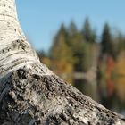 Herbst am Kirchsee - Autumn at Lake Church