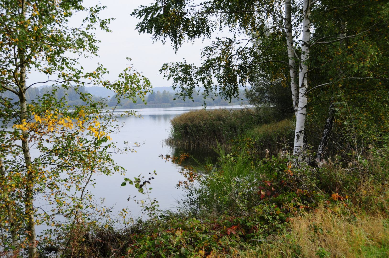 Herbst am kl.- Brombachsee