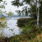 Herbst am kl.- Brombachsee