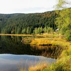 Herbst am Kleinen Arbersee