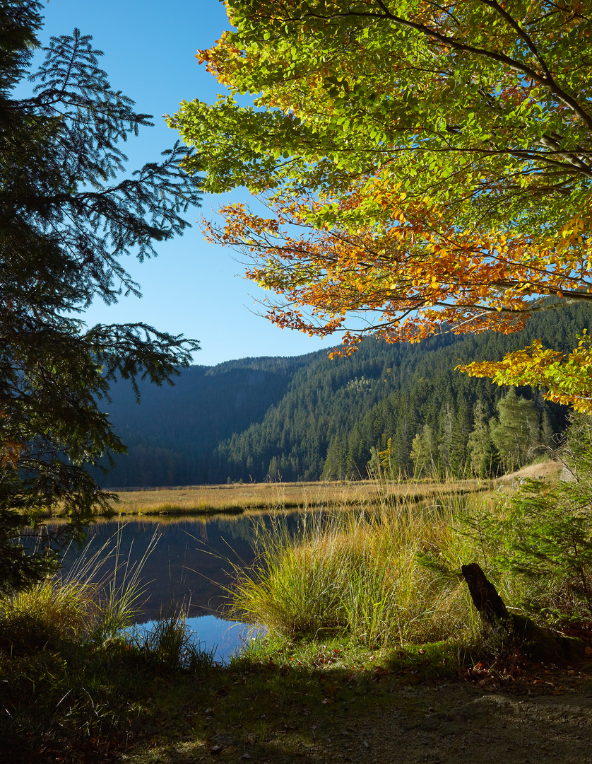 Herbst am kleinen Arbersee