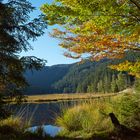 Herbst am kleinen Arbersee