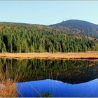 Herbst am Kleinen Arbersee