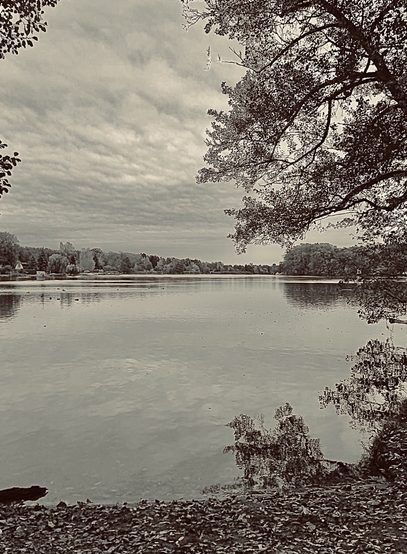 Herbst am Kleinen Müggelsee