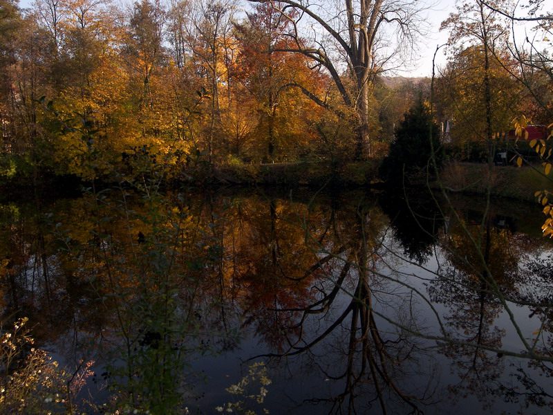 Herbst am kleinen See