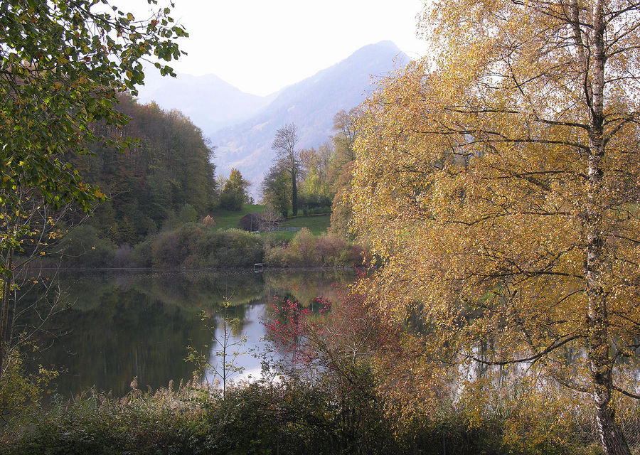 Herbst am kleinen See