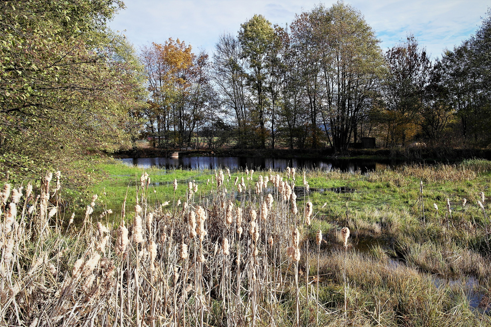 Herbst am kleinen Teich 2.11.18 Foto & Bild spezial, outdoor, meer