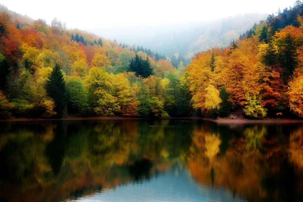 Herbst am kleinen Teich Foto & Bild landschaft, jahreszeiten, herbst