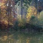 Herbst am kleinen Waldsee