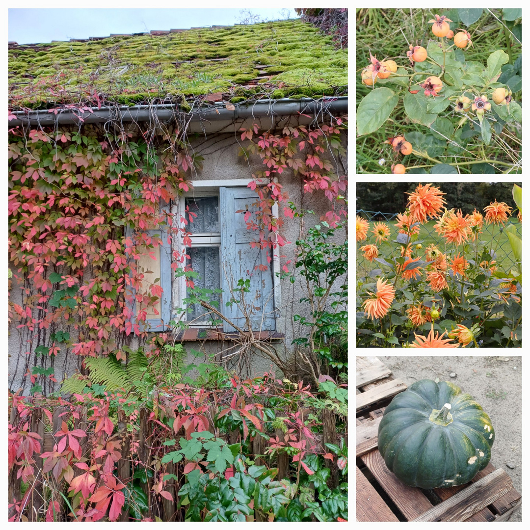 Herbst am Klostersee 