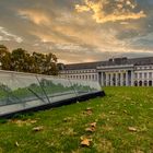 Herbst am Koblenzer Schloß