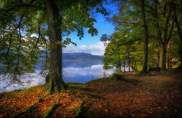 .... Herbst am Kochelsee....