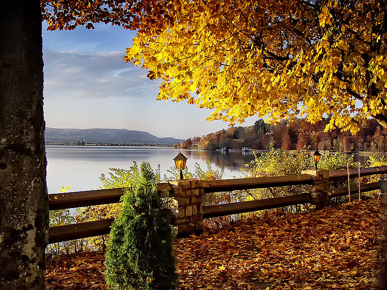 Herbst am Kochelsee