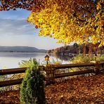 Herbst am Kochelsee