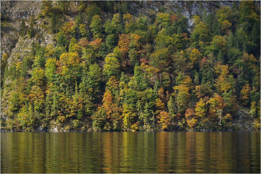 Herbst am Königsee