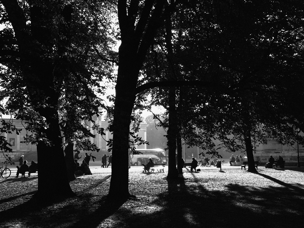 Herbst am Königsplatz