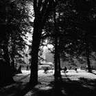 Herbst am Königsplatz