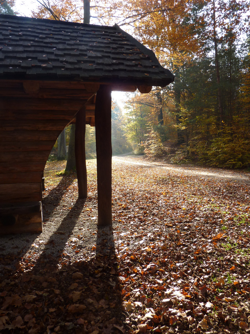 Herbst am Königsplatz in der Heide