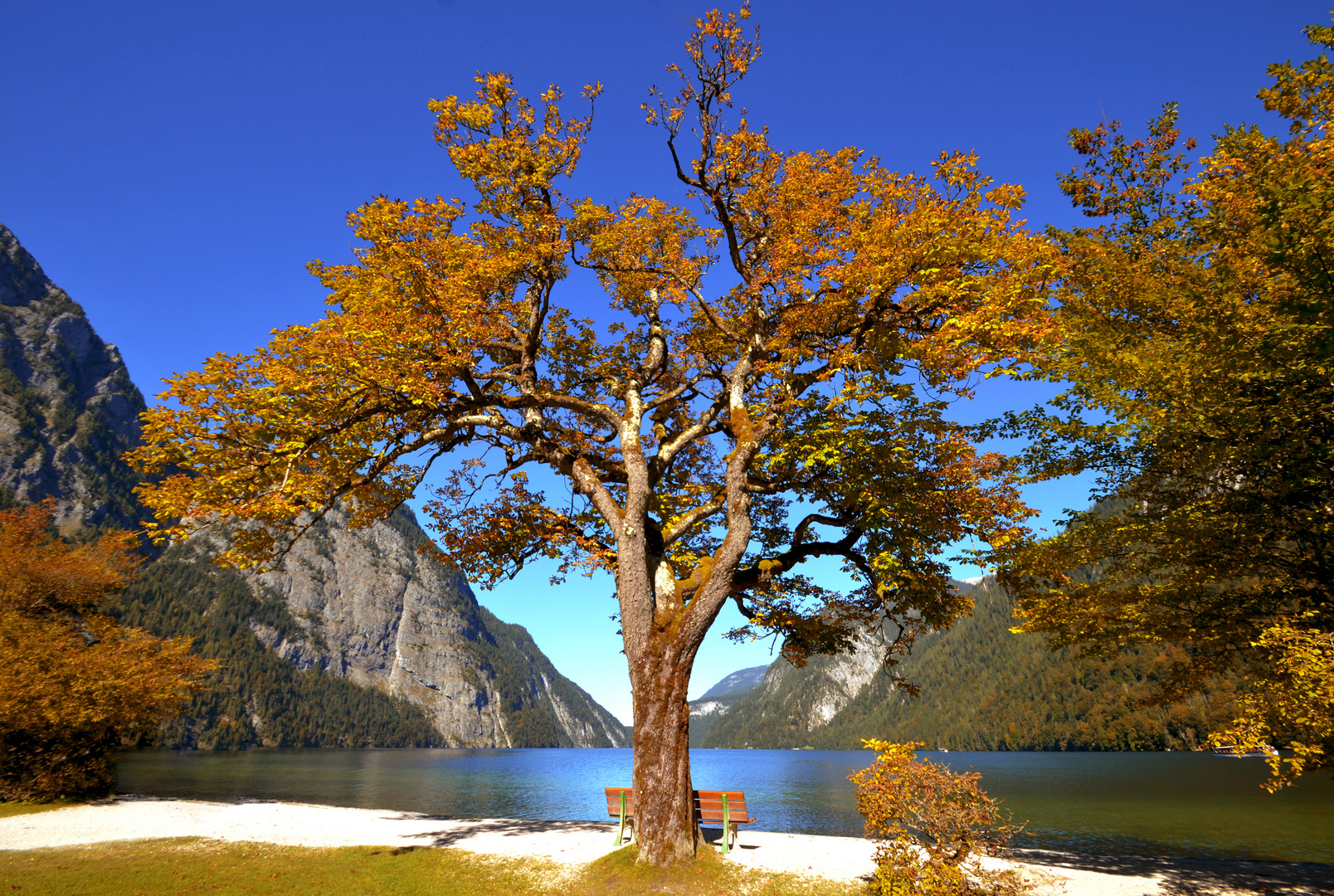 Herbst-am-Koenigssee