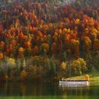 Herbst am Königssee